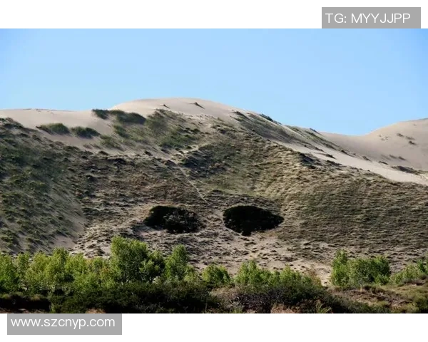 摩纳哥足球明星的璀璨星光与他们的传奇故事 摩纳哥足球明星的璀璨星光与他们的传奇故事