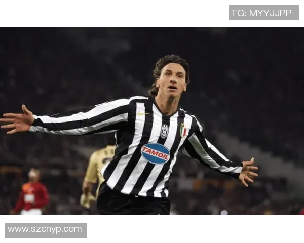 足球明星爱坤伊布的传奇人生与辉煌成就全景回顾