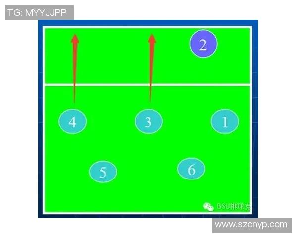 深入分析上海排球队的节奏打法及其战术优势与应用技巧