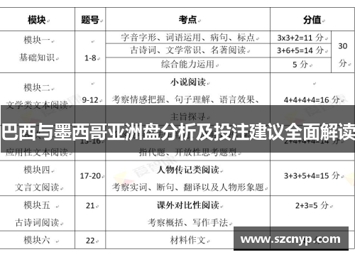 巴西与墨西哥亚洲盘分析及投注建议全面解读