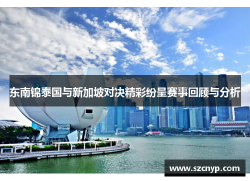 东南锦泰国与新加坡对决精彩纷呈赛事回顾与分析